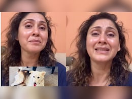 Actor Manjari Fadnis Says Society Dog "Brutally Murdered" In Mumbai: 'They Hit Him Until He Was Bleeding'