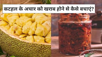 सालों साल खराब नहीं होगा कटहल का अचार, बस Achar बनाते समय इन 5 बातों का रखें ध्यान