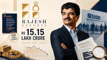 Rajesh Exports Row: Experts Push For SFIO Probe, See Fraud Behind 'Glamorous Numbers'