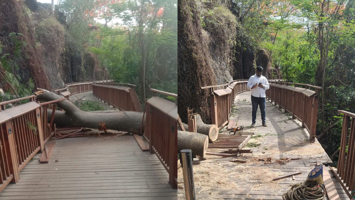 Mumbai’s Malabar Hill elevated nature trail closed indefinitely after safety concerns