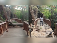 Mumbai's Elevated Nature Trail Closed Indefinitely Following Safety Concerns