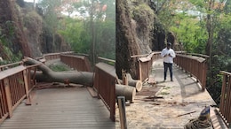 Mumbai's Elevated Nature Trail Closed Indefinitely Following Safety Concerns
