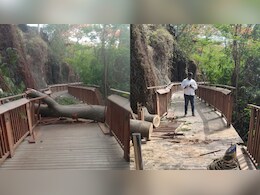 Mumbai's Elevated Nature Trail Closed Indefinitely Following Safety Concerns