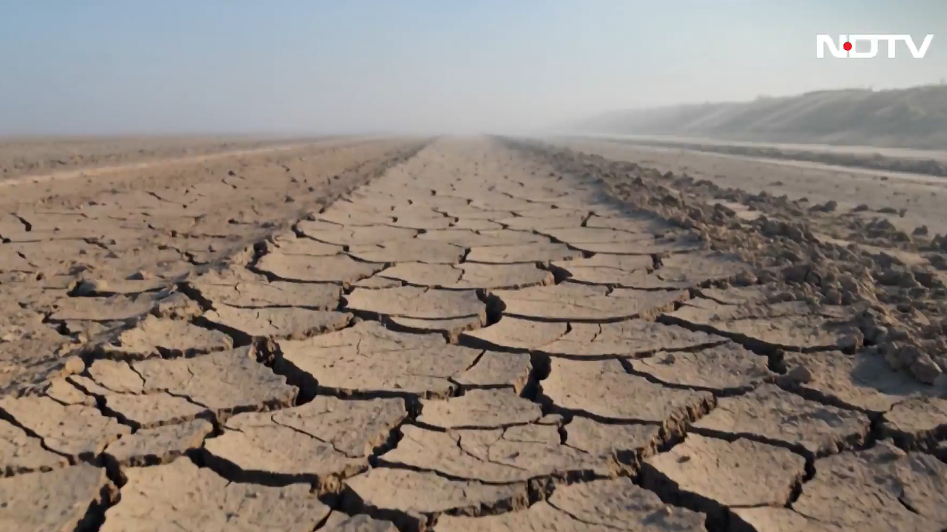 World Environment Day Special: Facing Heat, Finding Hope