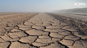 World Environment Day Special: Facing Heat, Finding Hope