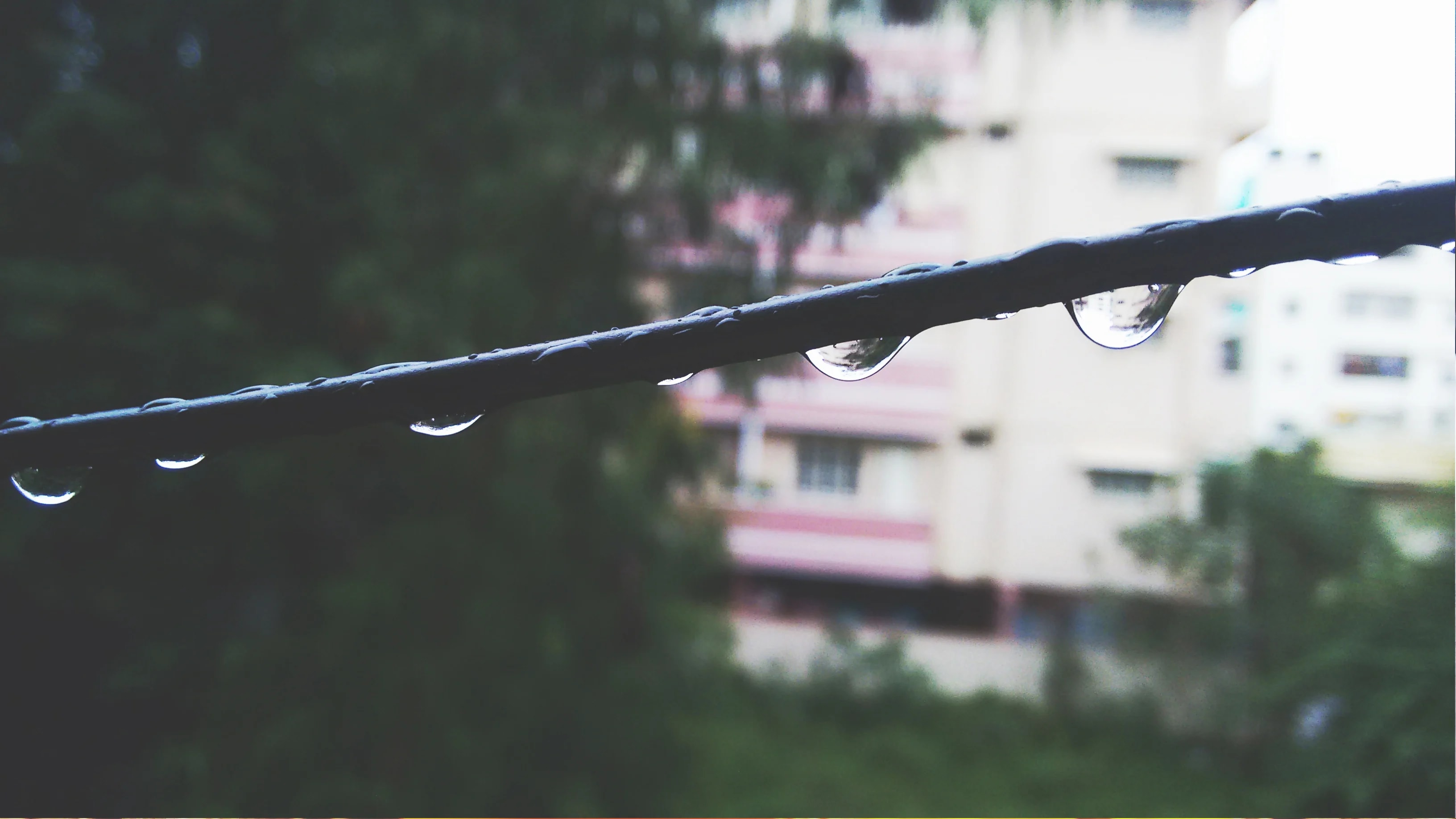 Will It Rain In Mumbai, Pune Today? IMD Warns Of Thunderstorms, Gusty Winds - Forecast
