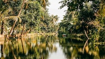 Best Places In India With Pleasant Weather Right Now