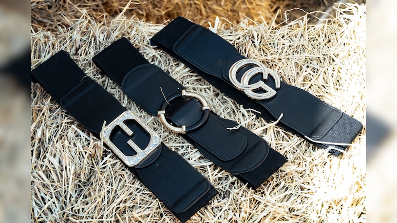सिंपल सी ड्रेस को भी स्टाइलिश और अट्रैक्टिव बना देंगी ये Classy Belts, कीमत देख हैरान हो जाएंगे आप भी