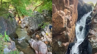 इस वीकेंड सुकून चाहिए? शहर के पास ही है ये वॉटरफॉल पूल, 99% लोग नहीं जानते