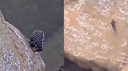 On Camera, 'Spider-Man Of Yemen' Falls Into Volcanic Crater, Dies