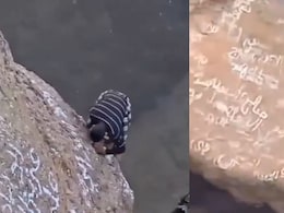 On Camera, 'Spider-Man Of Yemen' Falls Into Volcanic Crater, Dies