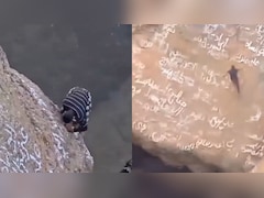 On Camera, 'Spider-Man Of Yemen' Falls Into Volcanic Crater, Dies