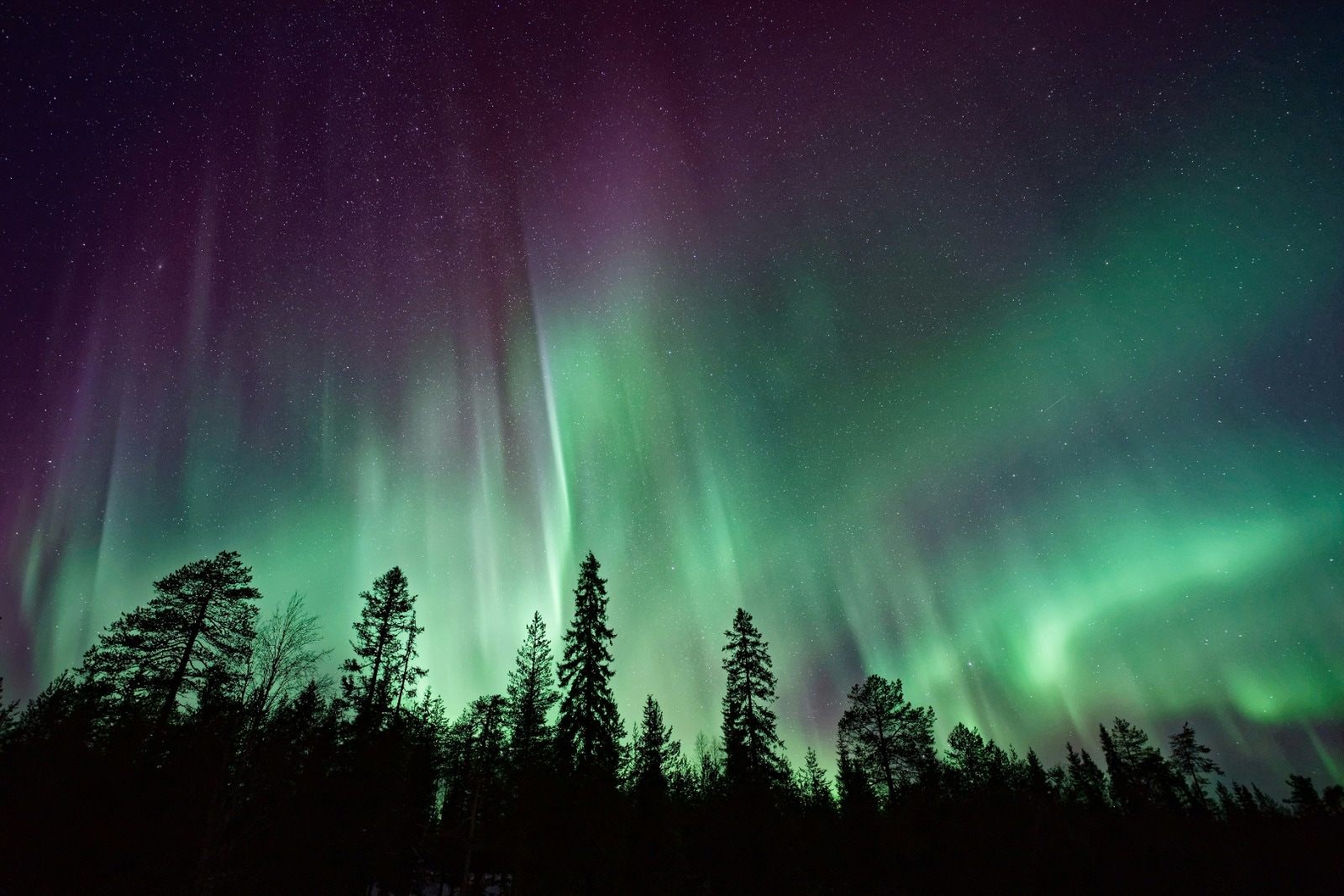 Northern Lights In India: When To Watch Aurora Borealis?