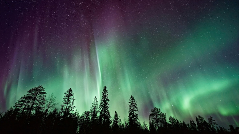 Northern Lights In India: When To Watch Aurora Borealis? Places With The Best Chance To See&nbsp;
