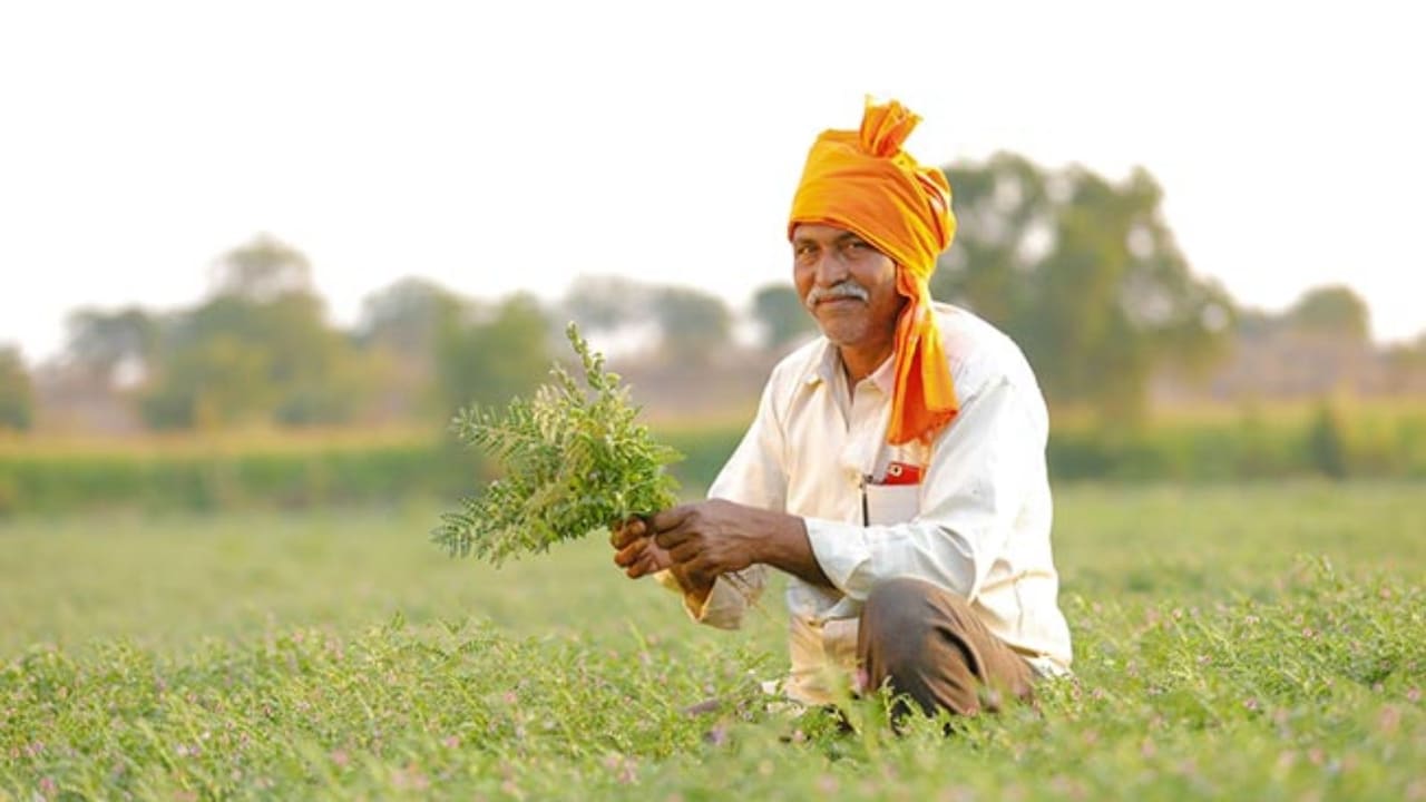 अब खाद के लिए नहीं लगानी पड़ेगी लाइन, घर बैठे ऐप से बुक होगा