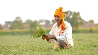 अब खाद के लिए नहीं लगानी पड़ेगी लाइन, घर बैठे ऐप से बुक होगा यूरिया-डीएपी, जानें जरूरी डिटेल