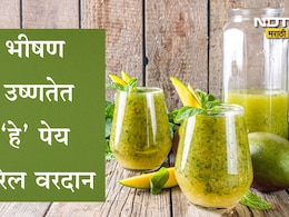 Summer Healthy Drink: जीवघेणा उन्हाळा! घराबाहेर पडण्यापूर्वी प्या आंबटगोड अमृतासमान पेय,आरोग्यासाठी ठरेल वरदान