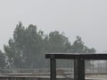 राजस्थान में 30-40 KM की रफ्तार से चलेंगी हवाएं, डीग में जोरदार बारिश, कई जिलों में अलर्ट