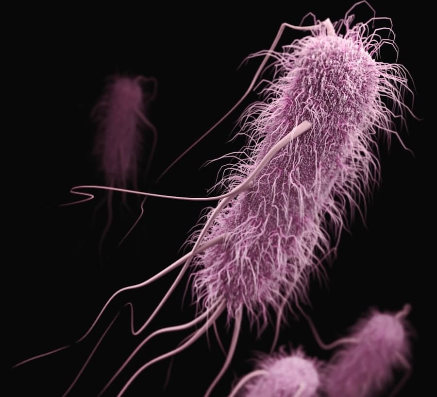 Shigella outbreak in Kerala: 146 cases and five deaths reported in six months