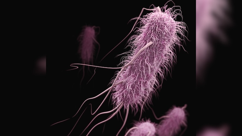 What Is Shigella? Kerala Reports 146 cases, Five Deaths In 6 Months &mdash; Symptoms, Precautions & Treatment