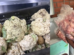 Houseflies To Foul Odour, Cyberabad Food Safety Teams Flag Hygiene Issues At Hyderabad Restaurants