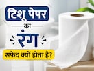 टिश्यू पेपर का रंग हमेशा सफेद क्यों होता है? क्या है इसके पीछे की दिलचस्प वजह
