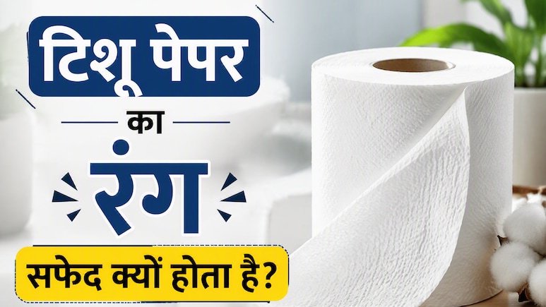 टिश्यू पेपर का रंग हमेशा सफेद क्यों होता है? क्या है इसके पीछे की दिलचस्प वजह
