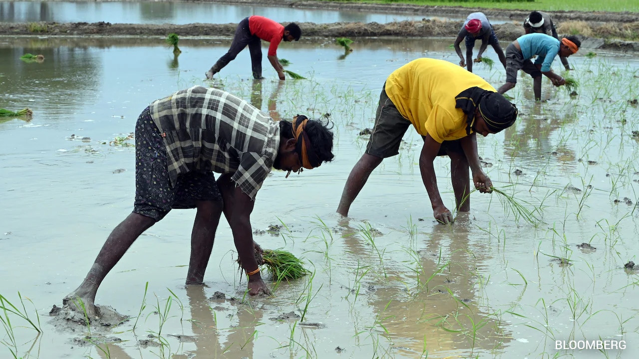 After Oil, Weak Monsoon Emerges As India's Next Economic Worry