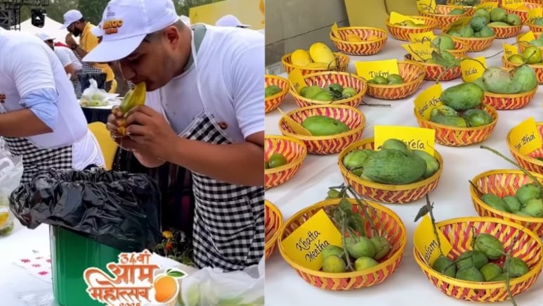 आम खाओ प्रतियोगिता का खत्म इंतजार, दिल्ली में होने जा रहा फलों के राजा पर त्योहार