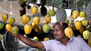 No Ban On Indian Mangoes: Centre Clarifies Nepal Imports Continue Uninterrupted