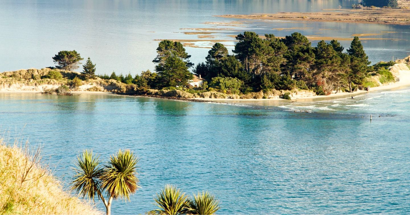36 Hours In Dunedin, New Zealand, One Of The World's Southernmost Cities