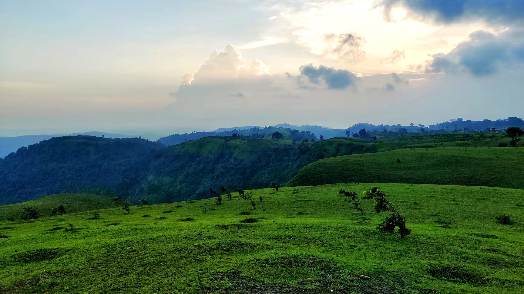 Kukru Coffee Estate Betul: प्राकृतिक नजारा