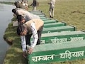 चंबल में बढ़ा घड़ियालों का कुनबा, देवरी केंद्र में 200 अंडों से बाहर आए 91 नन्हें शावक