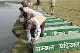 चंबल में बढ़ा घड़ियालों का कुनबा, देवरी केंद्र में 200 अंडों से बाहर आए 91 नन्हें शावक