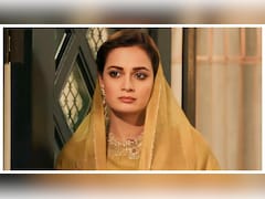 'First Teach Your Child Manners': Dia Mirza Slammed Over 5-Year-Old Son's Plastic Remark To Coconut Vendor