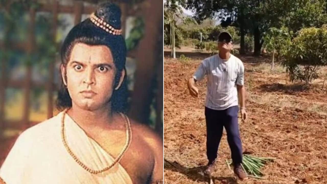 रामायण के लक्ष्मण ने दिखाई आलीशान फार्म की झलक, खेतों में उग