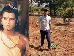 'रामायण' के लक्ष्मण ने दिखाई खेतों की दुनिया, काजू से लेकर पपीता तक उगाकर जीता फैंस का दिल