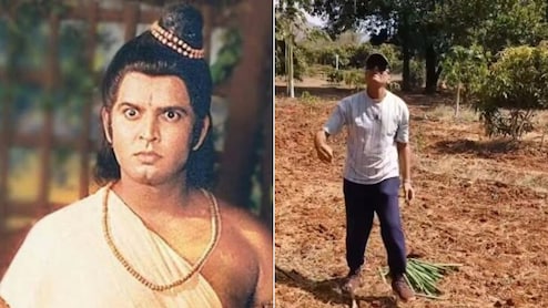 'रामायण' के लक्ष्मण ने दिखाई खेतों की दुनिया, काजू से लेकर पपीता तक उगाकर जीता फैंस का दिल