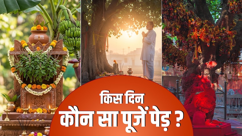 Hindu Sacred Trees: किस दिन, किस देवता के लिए कौन से पेड़ की करनी चाहिए पूजा?&nbsp;