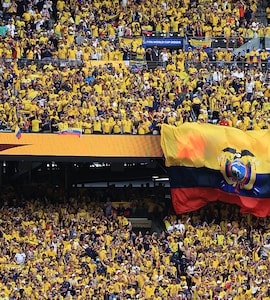 FIFA World Cup: Holiday Declared In Ecuador After Stunning 2-1 Win Over 4-Time Champions Germany