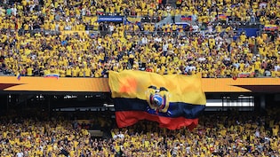 FIFA World Cup: Holiday Declared In Ecuador After Stunning 2-1 Win Over 4-Time Champions Germany