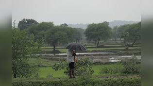 Weak Monsoons Might Hurt More Than Just Rural India This Year. Which Stocks Will Feel The Heat?