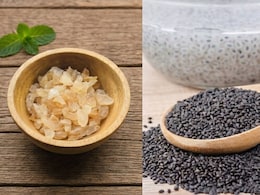 Gond Katira vs Sabja Seeds: Which Summer Cooling Agent Helps You Lose Belly Fat Faster?
