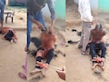 CG News: लव मैरिज के बाद पति बना हैवान, पत्नी की बेरहमी से पिटाई की, मुंडन किया और जबरन पिलाया पेशाब