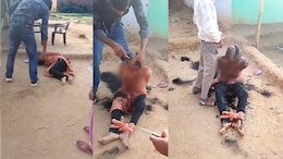 CG News: लव मैरिज के बाद पति बना हैवान, पत्नी की बेरहमी से पिटाई की, मुंडन किया और जबरन पिलाया पेशाब