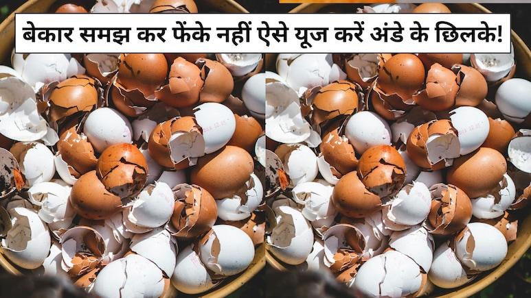 कीड़े-मकौड़ों को दूर भगाने से लेकर सिंक की सफाई और गार्डनिंग तक, जानें अंडे के छिलके के बेहतरीन इस्तेमाल