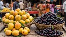 Mango vs Jamun: Which Is Better For Reducing Summer Cellular Inflammation?