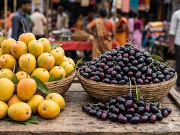 Mango vs Jamun: Which Is Better For Reducing Summer Cellular Inflammation?