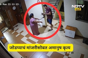 Navi Mumbai News: पहिले कुरवाळलं, नंतर उचललं, मांजराच्या पिल्लाला पिशवीत कोंबलं, जोडप्याने पुढे जे केलं ते...