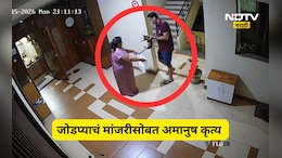 Navi Mumbai News: पहिले कुरवाळलं, नंतर उचललं, मांजराच्या पिल्लाला पिशवीत कोंबलं, जोडप्याने पुढे जे केलं ते...